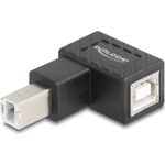 Delock USB 2.0 Adapter Typ-B Stecker zu Buchse 90° gewinkelt (67204)