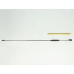 DeLOCK Radio-Antenne (12438)