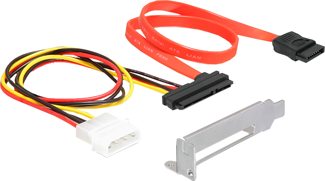Delock SATA II Compact Flash Card Reader SATA 3Gb/s Silber