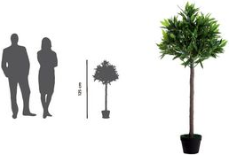 Kunstpflanze Olivenbaum (PAOLI125)