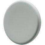 Legamaster Glasboardmagnet salbeigrün 5St (7-181634)