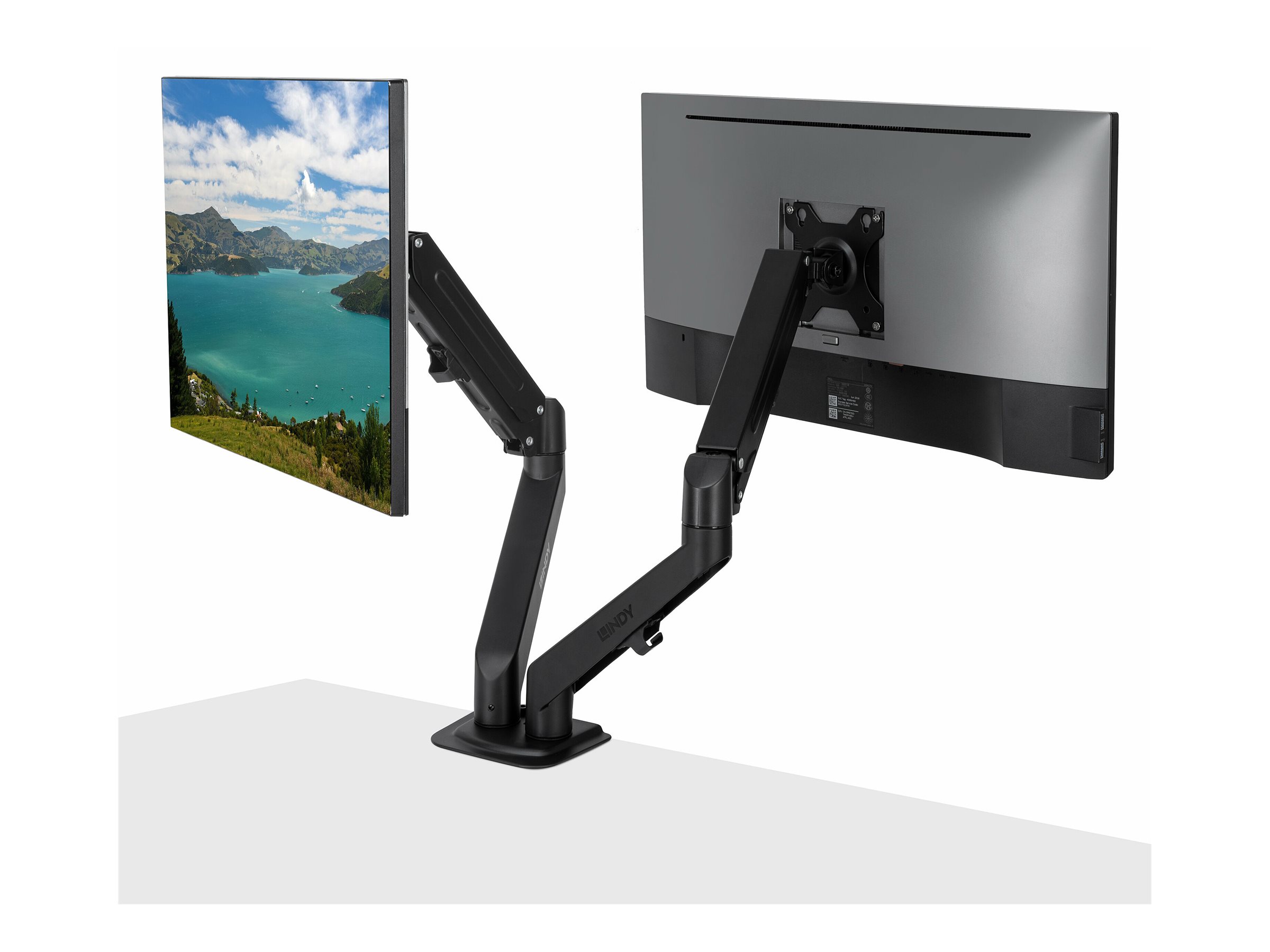 Lindy Dual Mount Desktop Gasfederarm 17"-27" Schwarz