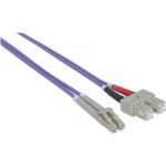 Intellinet Patch-Kabel (751049)