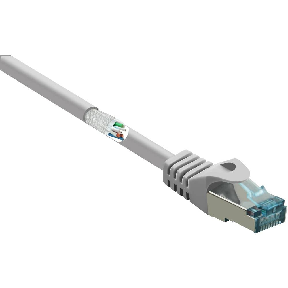 Renkforce RF-5047488 Netzwerkkabel Cat6a S/FTP 3 m Grau