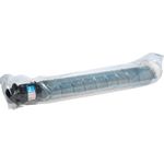 Ricoh Cyan Original (842314)