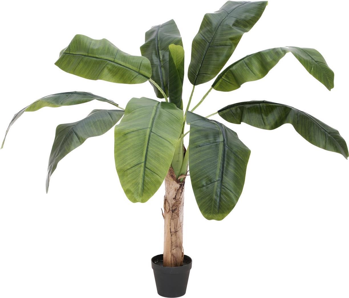 EUROPALMS Bananenbaum, Kunstpflanze, 100cm (82509503)