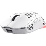 Trust GXT 929 Helox Maus Gaming rechts RF Wireless Optisch 4800 DPI (25390)