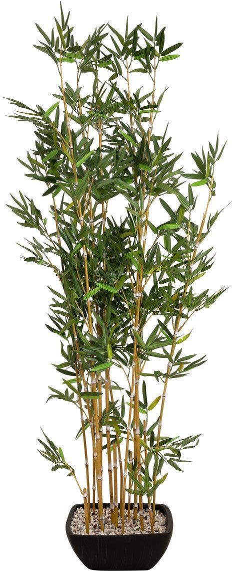 EUROPALMS Zierbambus in Dekoschale, künstlich, 150cm (82509262)