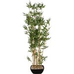 EUROPALMS Zierbambus in Dekoschale, künstlich, 150cm (82509262)