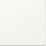 GIRA Wippe System 55 Reinweiß m 329627 (329627)