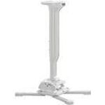 Chief CPA116 Befestigungskit (Deckenplatte, Universalmontage, Teleskopstange) für Projektor (KITMC030045W)