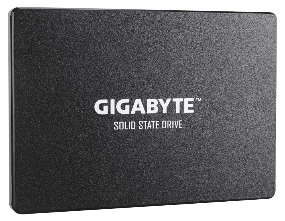 Gigabyte GP-GSTFS31256GTND Solid State Drive (SSD) 2.5" 256 GB Serial ATA III V-NAND (GP-GSTFS31256GTND)