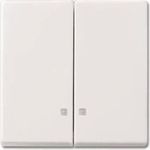 Wippe 2505 K-914 (2CKA001731A3996)