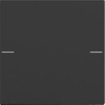 Gira Wippenset 1f Tastsens.4 Schwarz m 5751005 (5751005)