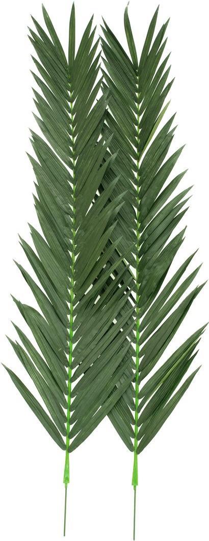 EUROPALMS Kokos-Königspalmwedel, künstlich, 210cm (82509848)