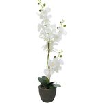 EUROPALMS Orchidee, Kunstpflanze, weiß, 80cm (82530362)