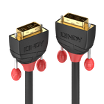 Lindy Black Line DVI-Kabel (36259)
