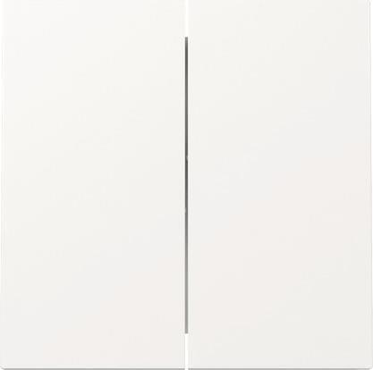 GIRA Wippe 329570 2f FL RW (329570)