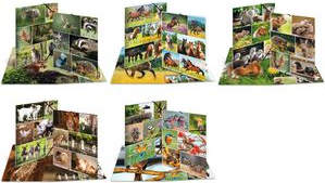 HERMA Eckspannermappe "Waldtiere", Karton, DIN A3 Maße: (B)297 x (T)4 x (H)420 mm, mit Innenklappen und - 1 Stück (19451)