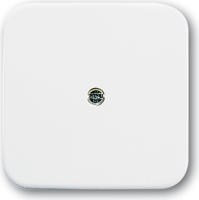 Busch Jaeger 1724-0-0921 Wandplatte/Schalterabdeckung Weiß (1724-0-0921)