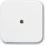 Busch Jaeger 1724-0-0921 Wandplatte/Schalterabdeckung Weiß (1724-0-0921)