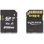 Delock Flash-Speicherkarte (54091)