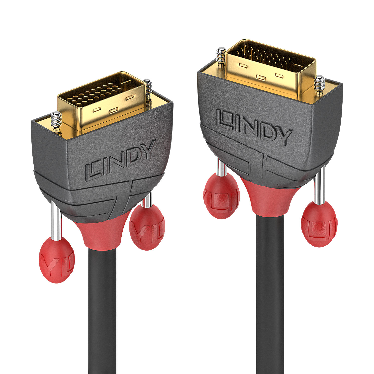 LINDY DVI-D Dual Link Kabel 1m , Anthra Line