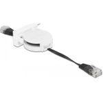 Delock Patch-Kabel RJ-45 (M) bis RJ-45 (M) (81361)