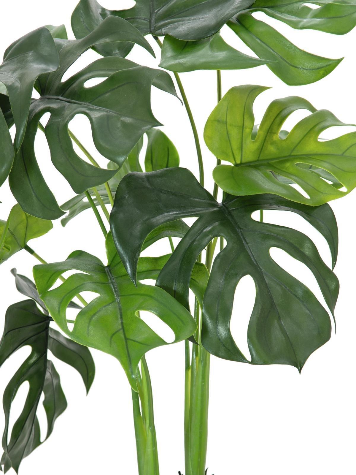 EUROPALMS Monstera deliciosa, Kunstpflanze, 90cm (82600220)