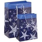 sigel Weihnachts-Geschenktüte "Shining Stars" Geschenktasche mit Glanzlackierung und Geschenkanhänger, - 5 Stück (GT026)