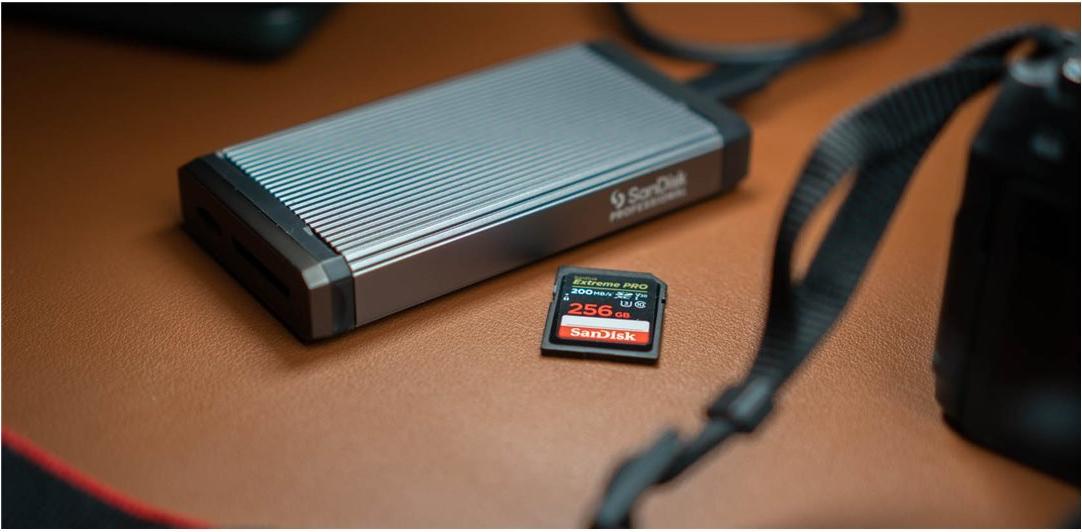 SanDisk Professional PRO-READER Kartenleser USB-C 3.2 Gen 1 Schwarz, Silber