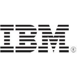 IBM Notfallbatterie (00Y4643)