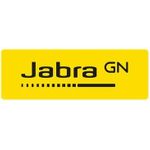 JABRA Warranty+ 3y P40 VBS Bar German end-customer 3 year extended warranty bar only Available only at time of product sale (870X-39893-DE)