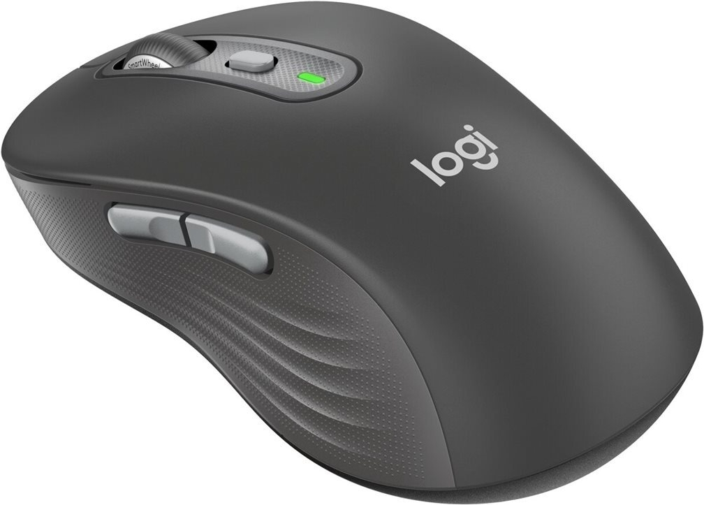 LOGITECH SIGNATURE PLUS M750 L Wireless Mouse - Graphite-EMEA28I-935 (910-007509)