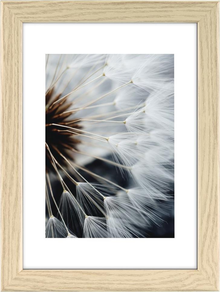 Hama Breeze Glas Polystyrol (PS) (00193039)