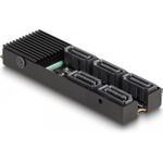 Delock Schnittstellenadapter (64051)