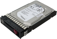 MicroStorage Festplatte (395501-002)