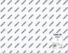 CANSON Zeichenpapier "Acrylic", 650 x 1.000 mm, 400 g/qm Leinwandkörnung, für die Acrylmalerei, dickes Papier, - 10 Stück (C.31067S001)