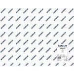 CANSON Zeichenpapier "Acrylic", 650 x 1.000 mm, 400 g/qm Leinwandkörnung, für die Acrylmalerei, dickes Papier, - 10 Stück (C.31067S001)