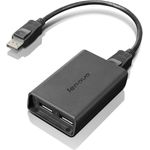 Lenovo DisplayPort to Dual DisplayPort Cable (03T6632)