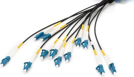 DIGITUS Kabelpeitsche (DK-2A33CU050BK-BBB)