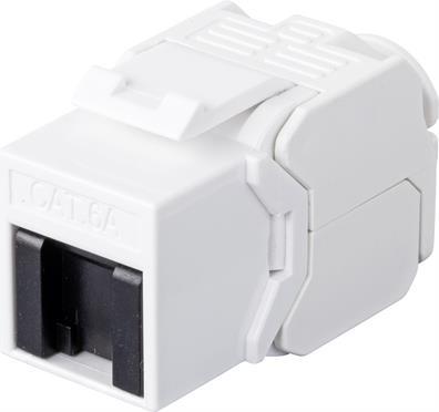 Renkforce RJ45-Einbaumodul Keystone CAT 6a (RF-4547354)