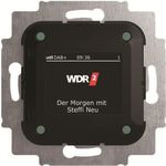 Busch-Jaeger Busch-Radio DAB+ 8215 U-101 (2CKA008200A0275)