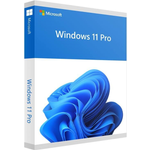 Microsoft Windows 11 Pro - Box-Pack - 1 Lizenz - Flash-Laufwerk - 64-bit - English International (HAV-00163)
