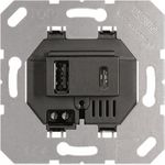 Jung USB-Ladegerät USB15CASW (USB15CASW)