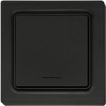 Eltako Funk-1-Kanal-Taster anthrazit matt F1T55E-am (30055722)