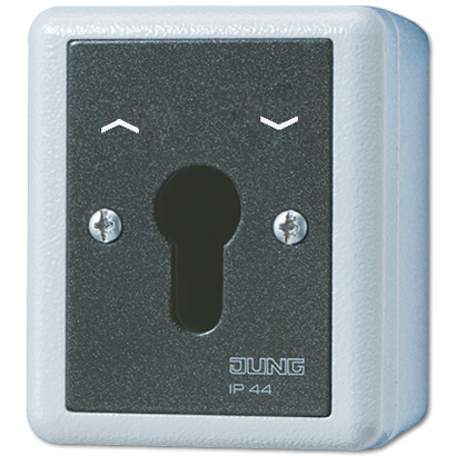 JUNG 834.28G Elektroschalter Key-operated switch Schwarz - Weiß (834.28G)