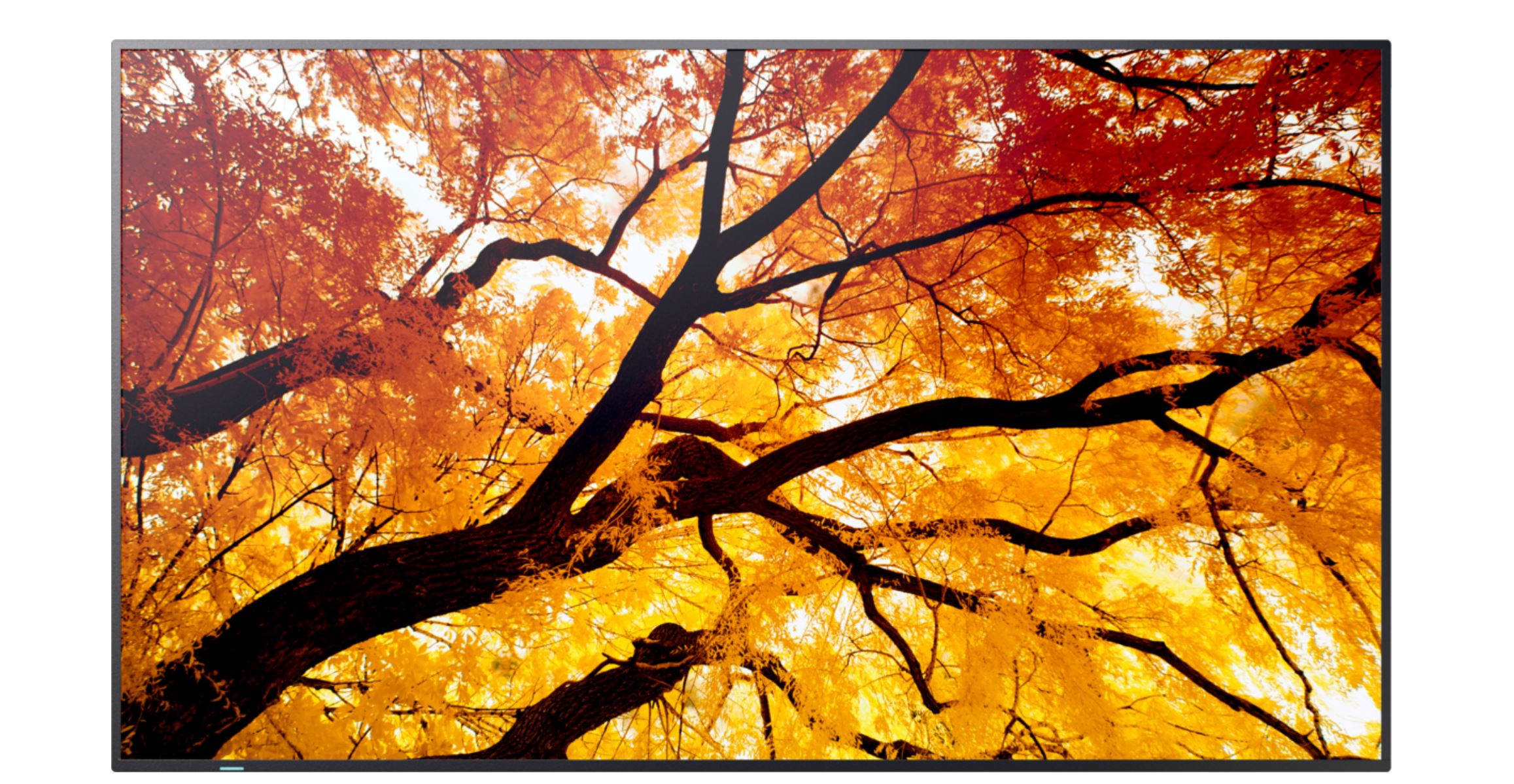 SHARP NEC MODEL PN-M552, 55" M-Series Large Format Display, UHD, 550cd/m2, D-LED backlight, 24/7 proof, SDM Slot, CM-Slot [Energieklasse G] (60006055)