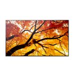 SHARP NEC MODEL PN-M552, 55" M-Series Large Format Display, UHD, 550cd/m2, D-LED backlight, 24/7 proof, SDM Slot, CM-Slot [Energieklasse G] (60006055)