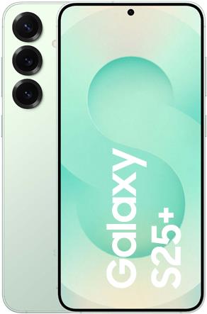 Samsung Galaxy S25+ (SM-S936BLGDEUB)